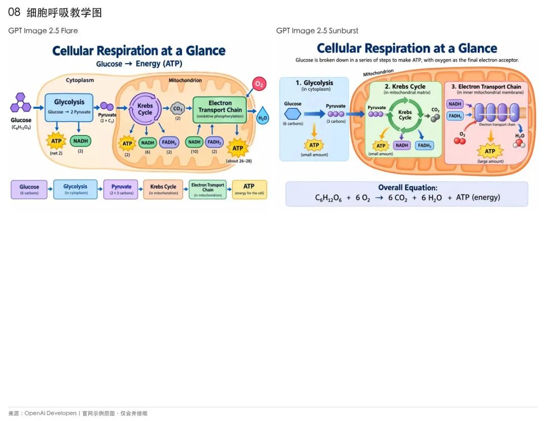 原文细胞呼吸三个阶段与关键分子的教学图示例